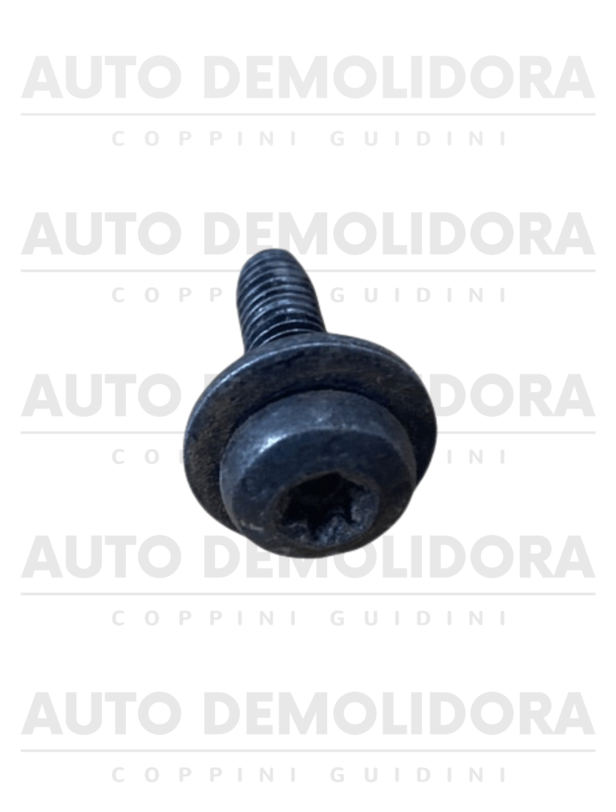 Parafuso Acabamento Painel Scania 24,40x6,00mm – Auto Demolidora Coppini  Guidini